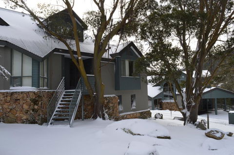 Wintergreen 10 - Dentist Search 1