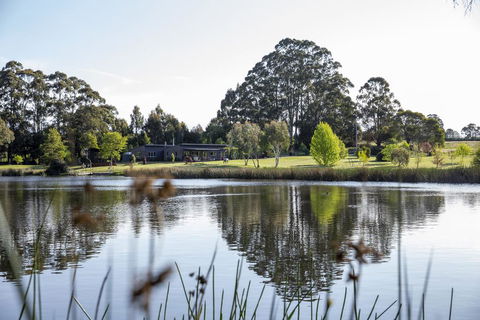 Wombat Edge - Dentist Search 2