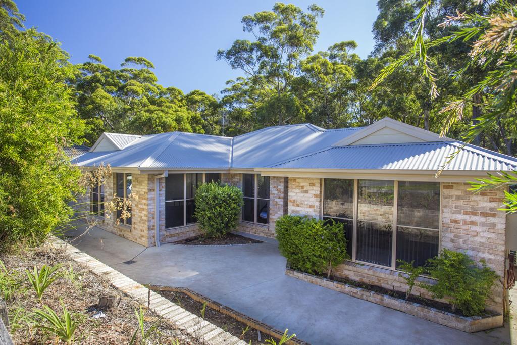 Wonder on Wattlevale