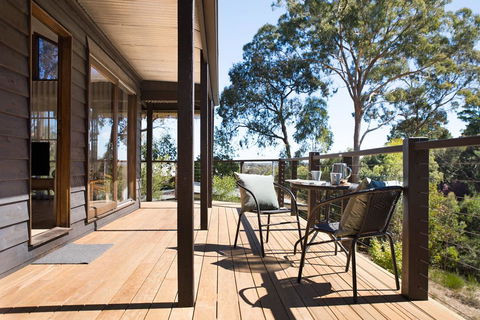 Wood For The Trees - Dentist Find 3