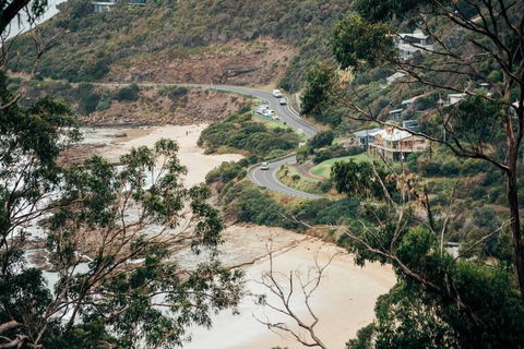 WYE UP - Through The Treetops. Out To The Sea. - Dentist Search 2