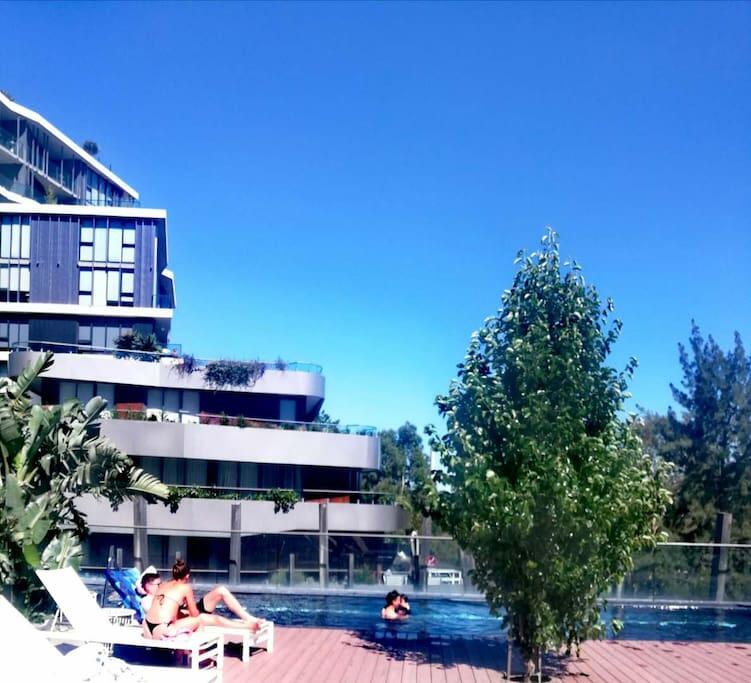 Yarra River Luxury 1BD Apartment