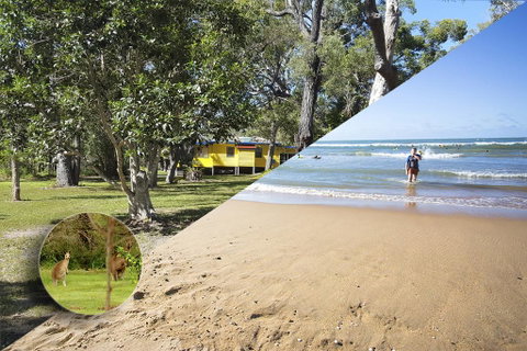 Yellow Cottage - Bush And Beach - Dentist Find 0