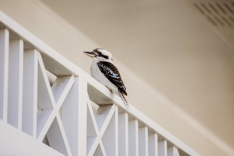 Yeppoon Surfside Motel - Dentist Find 2