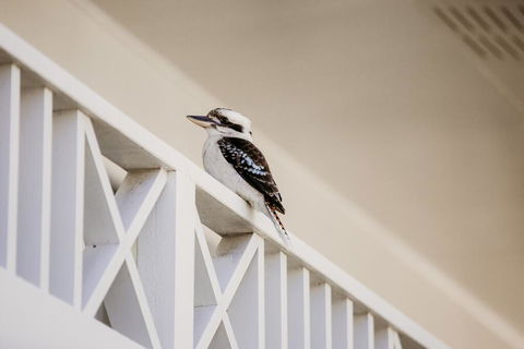 Yeppoon Surfside Motel - Dentist Find 2