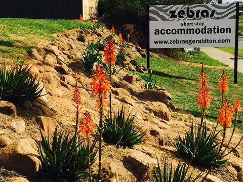Zebras Guest House Geraldton - Dentist Search 2