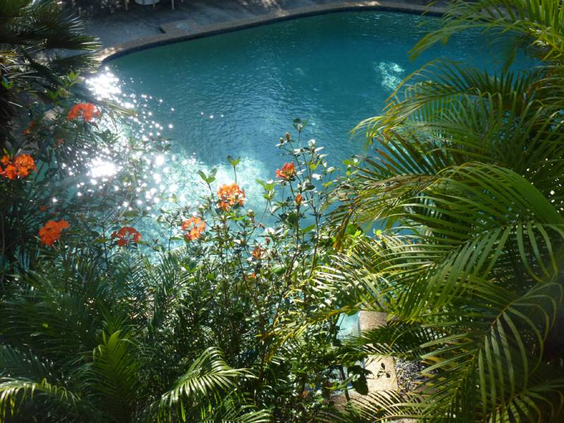 Avoca Beach NSW Dentists Australia