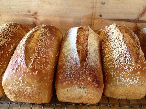 Blackbird Artisan Bakery