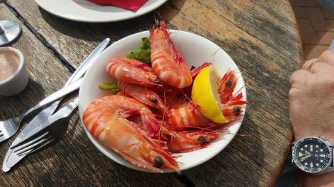 The Marlin Bar - Dentist Search 2