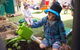Minyama Early Learning Centre - thumb 2