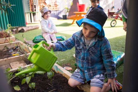 Minyama Early Learning Centre - Dentist Find 2