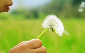 Bokarina QLD Dentist Find