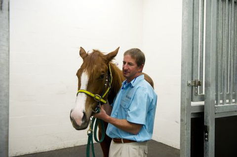 Pacific Vetcare - Dentist Search 2