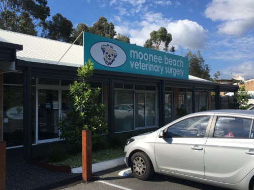 Moonee Beach Veterinary Surgery