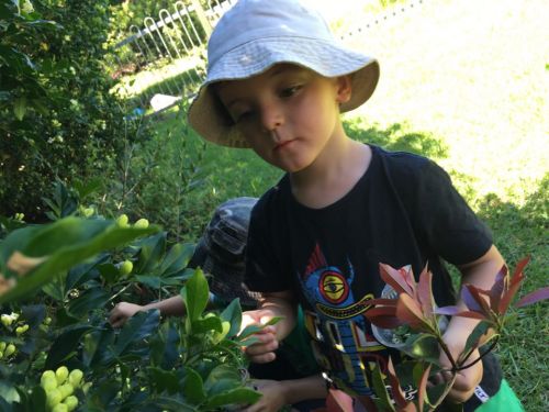 Kiama Kids Pre-School Childcare Centre
