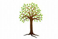 Kadina Child Care Centre - Dentists Australia 0