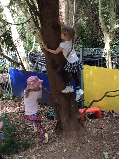 Mount Gibraltar Preschool - Dentist Find 2
