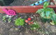 TLC Early Learning Centre - thumb 9