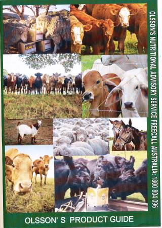 CMF Rural Industrial, Tyres & Mechanical - Dentists Australia 14