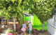 Charlestown East Educational Preschool - thumb 1