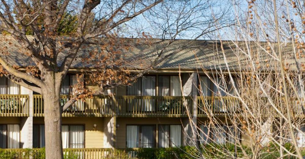 ibis Styles Canberra Tall Trees