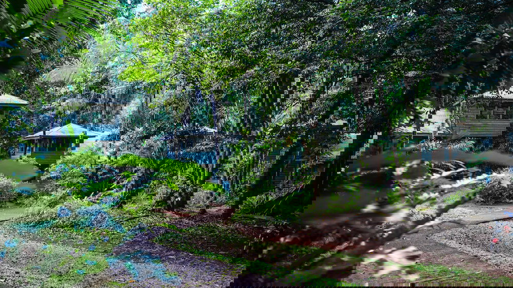 Ferntree Rainforest Lodge