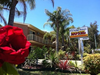Pointer Mountain NSW Dentist Search