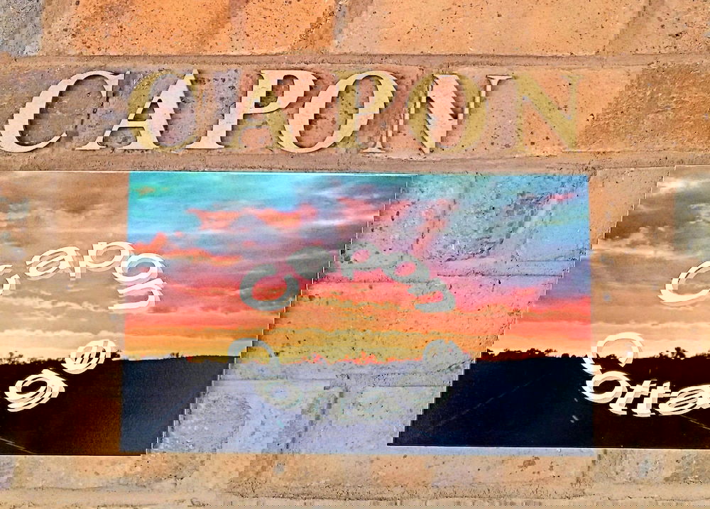 Packsaddle NSW Dentist Search