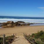 Bellbird Cottage B  B