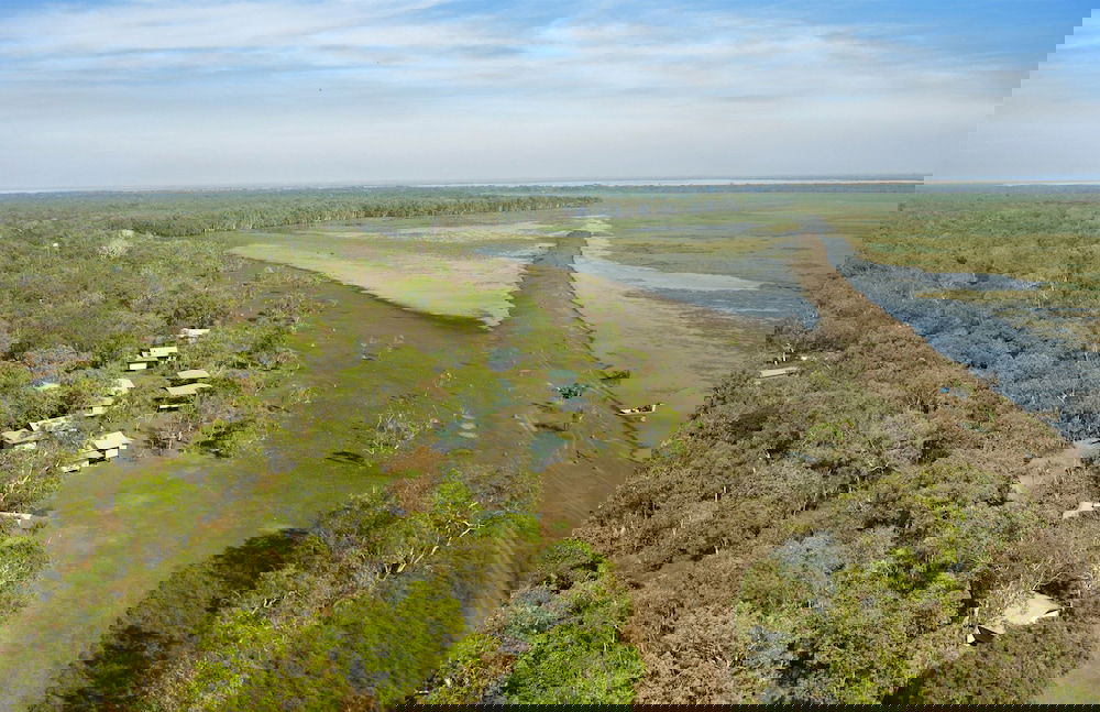 Bamurru Plains