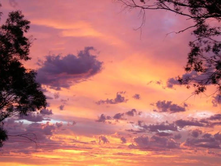 Sunset View Bb Forbes Nsw