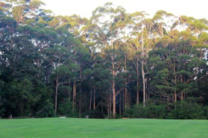 Tinglewood Cabins