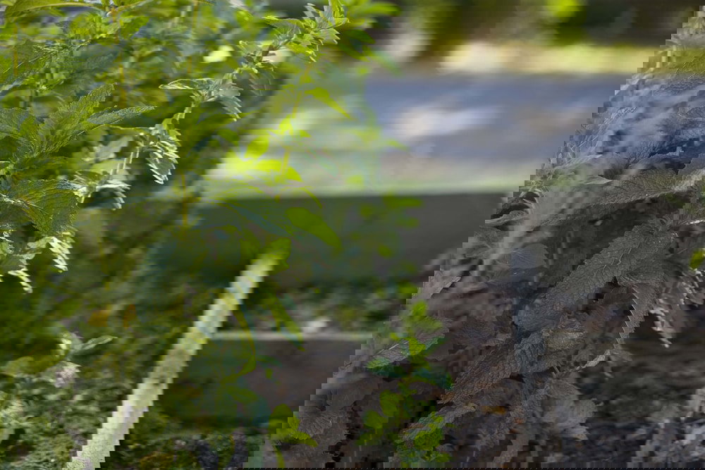 Grampians Eco YHA - Hostel