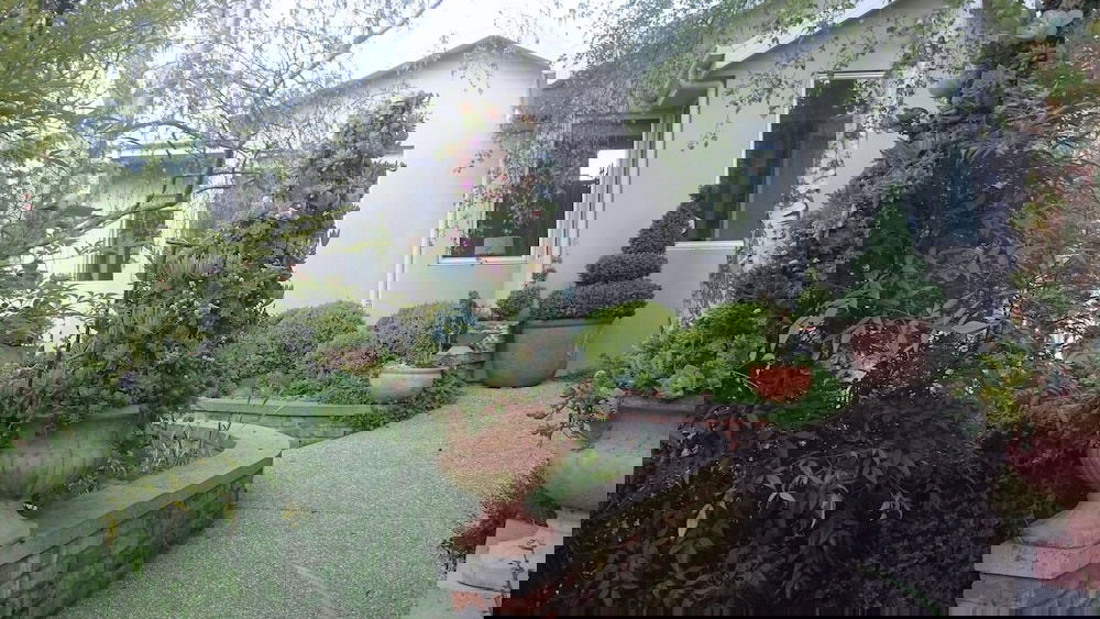 Topiary Haven