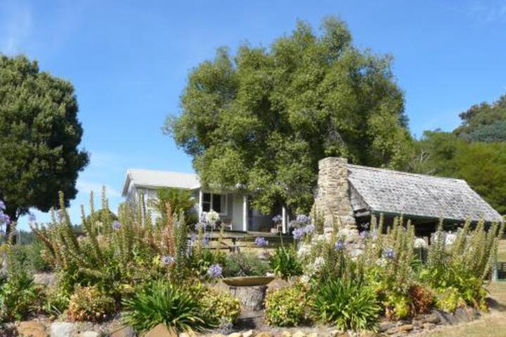 Sassafras Springs