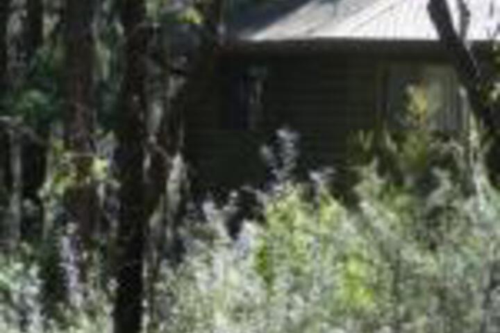 Twin Falls Bush Cottages