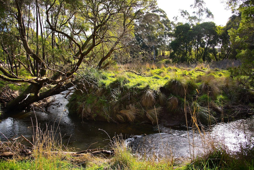 Green Gully House