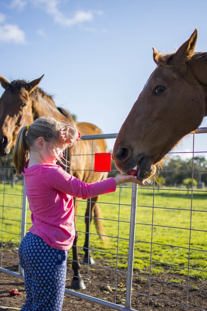 Freshwater Creek Cottages and Farm Stay