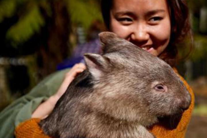 Fauna Australia Wildlife Retreat