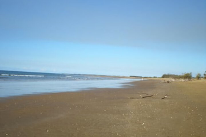 Moore Park Beach Motel