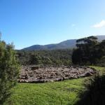 Wickliffe ACT Dentist Find