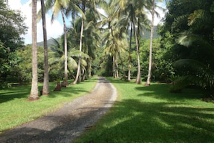Cape Trib Farmstay