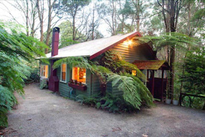 A Cottage in the Forest