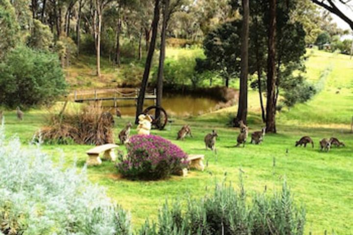 Countryside Connections Tranquil Studio