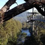 Tahune Air Walk Lodge