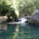 Daintree Secrets Rainforest Sanctuary