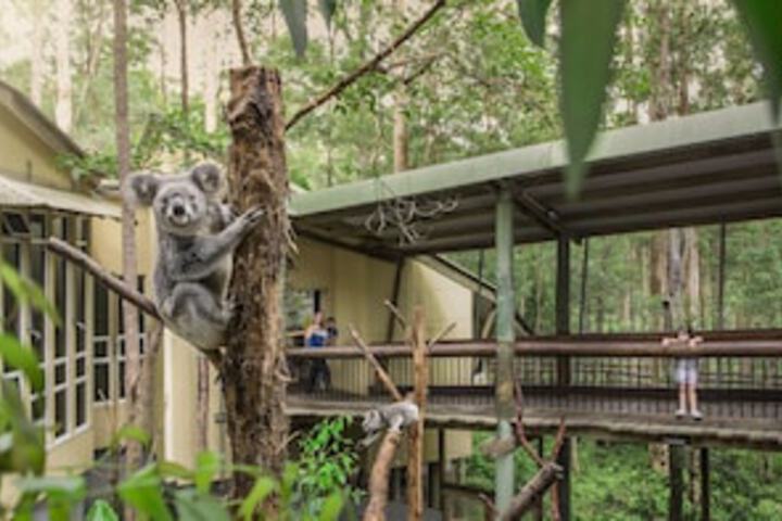 Springwood Meditation Vacation Center