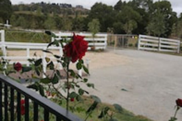 Jeetho ACT Dentist Find