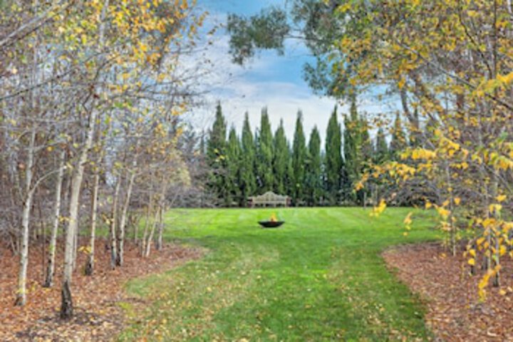 Orchards at Spring Vale Farm