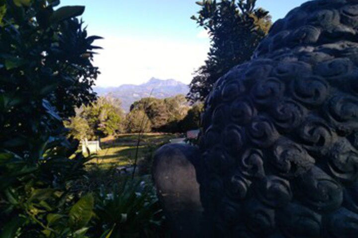 Ruah Rain Forest Retreat